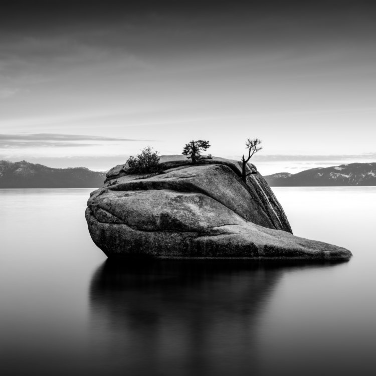 Bonsai Rock