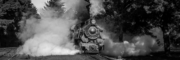 Full Head Of Steam