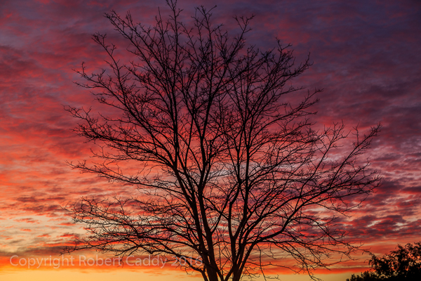 Glen Iris Sunrise