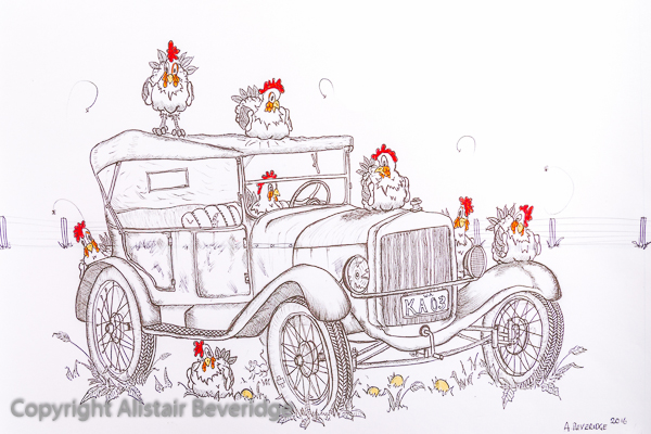 Model T Chooks