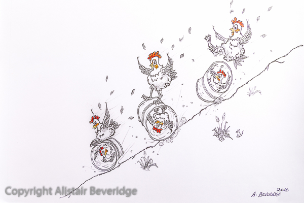 Downhill Chooks
