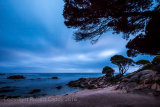 First Light at Bunkers bay