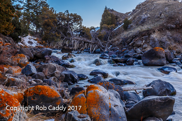 Yellowstone River Rapids