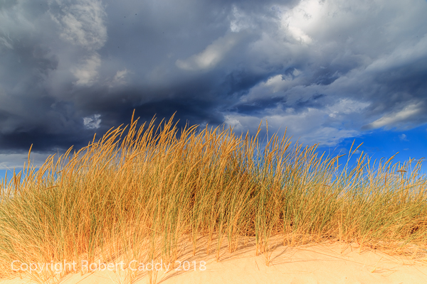 Dune Grass And Storm Clouds