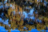 Reflections on Water