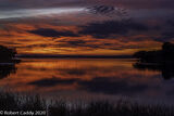 Calm Reflections