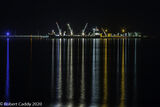Harbour Lights