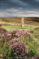 Bennett's Cross with Heather