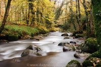 River Webburn, Buckland Bridge