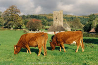 Buckland in the Moor