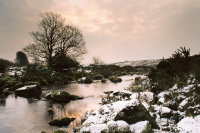 Cherry Brook West Dart Confluence Dawn