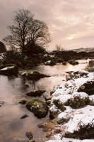 Dawn Cherrybrook West Dart confluence