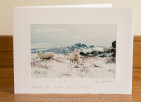 Christmas card example