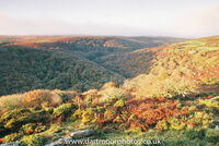 Dart gorge