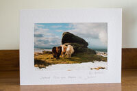 Christmas card example