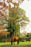 Widecombe in the Moor