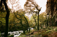 River Plym and the Dewerstone