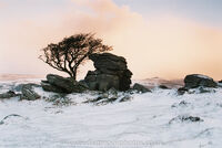 Emsworthy Rocks at dawn