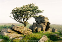 Emsworthy Rocks
