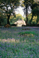 Gidleigh Park Pavilion Cottage with bluebells