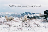Gift Vouchers