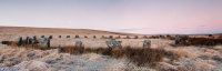 Grey Wethers Double Stone Circle Moonset at Dawn