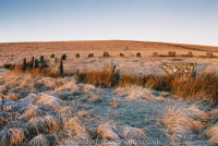 Grey Wethers double stone circle
