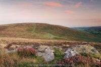Grimspound dusk with heather