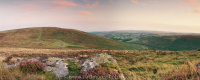 Grimspound dusk with heather