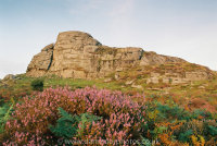 Haytor Low Man
