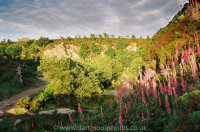 Haytor Quarry