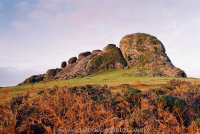Haytor Dawn Autumn