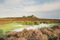 Haytor
