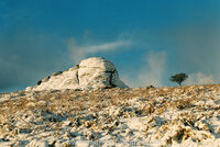 Haytor
