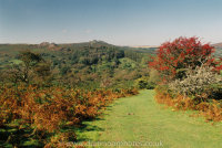 Path between Smallacombe rocks and Greator