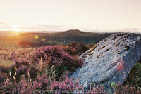 Laughter tor to Bellever Tor