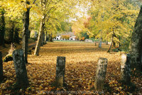 Manaton village green