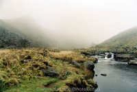 Tavy Cleave in mist