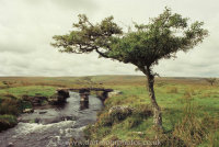 North Teign Clapper Bridge