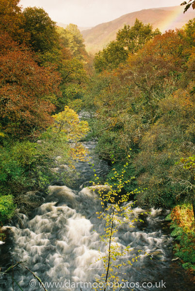 River Dart