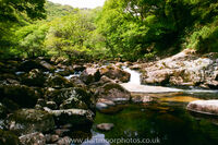 River Dart, Sharrah Pool
