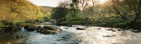 River Dart Spring Panorama