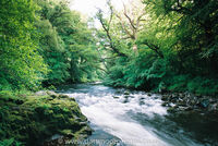 River Dart
