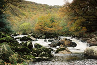 River Dart, Sharrah Pool