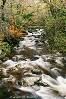 River Plym, Autumn