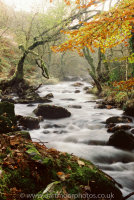 River Taw, Belstone Cleave