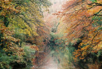 River Teign Weir Pool