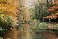 River Teign near Fingle Bridge