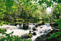 River Teign Salmon Leap