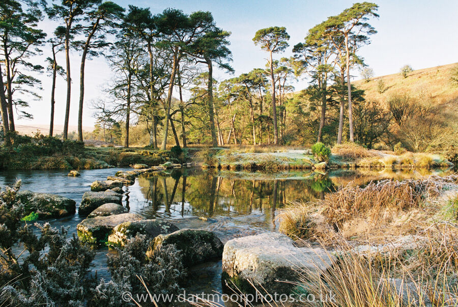 River West Dart Stepping Stones
